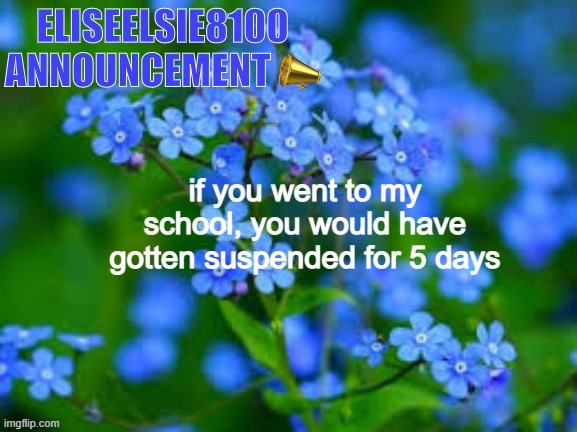 EliseElsie8100 Announcement | if you went to my school, you would have gotten suspended for 5 days | image tagged in eliseelsie8100 announcement | made w/ Imgflip meme maker