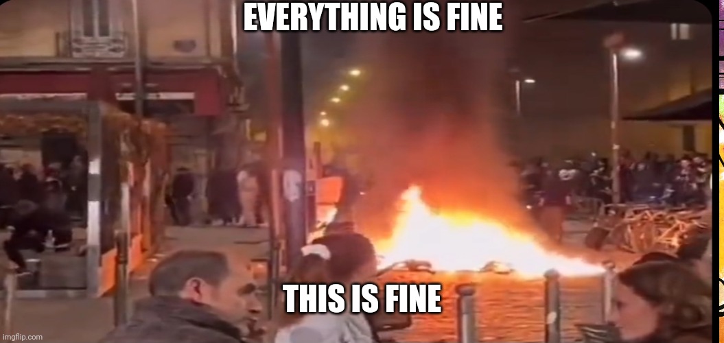 This Is Fine | EVERYTHING IS FINE; THIS IS FINE | image tagged in france,this is fine,burning,politics | made w/ Imgflip meme maker