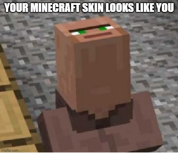 Minecraft Villager Looking Up | YOUR MINECRAFT SKIN LOOKS LIKE YOU | image tagged in minecraft villager looking up | made w/ Imgflip meme maker