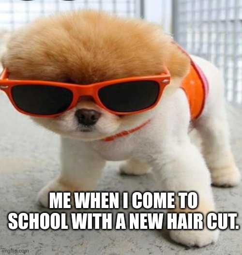 Smooth | ME WHEN I COME TO SCHOOL WITH A NEW HAIR CUT. | image tagged in cool | made w/ Imgflip meme maker