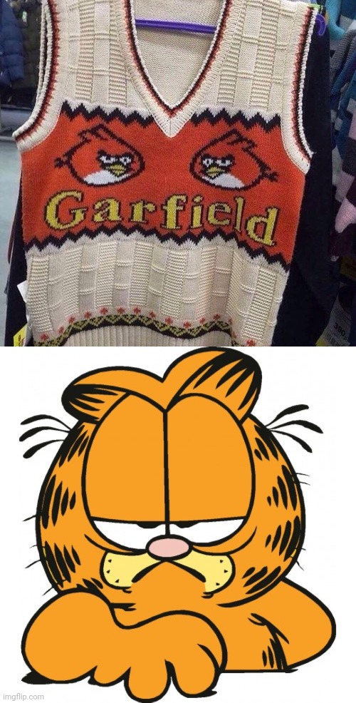 Garfield, Angry Birds sweater | image tagged in garfield,reposts,repost,angry birds,sweater,memes | made w/ Imgflip meme maker