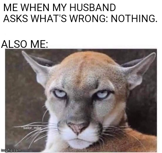 When hubby asks what's wrong | ME WHEN MY HUSBAND ASKS WHAT'S WRONG: NOTHING. ALSO ME: | image tagged in resting bitch face,husband,husband wife,angry fighting married couple husband  wife,couple | made w/ Imgflip meme maker