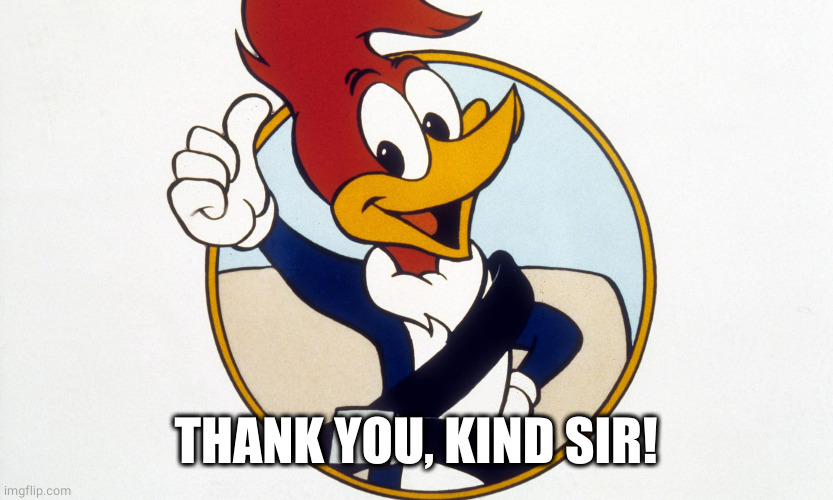 Woody Woodpecker | THANK YOU, KIND SIR! | image tagged in woody woodpecker | made w/ Imgflip meme maker