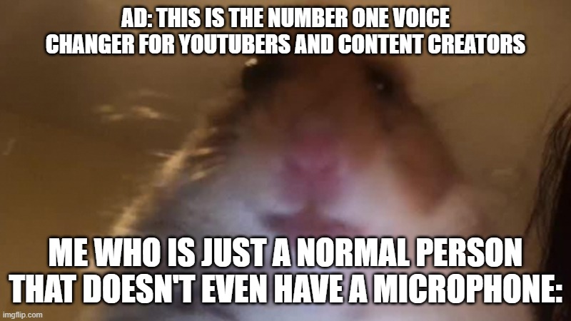 I am writing this meme as the ad is coming on | AD: THIS IS THE NUMBER ONE VOICE CHANGER FOR YOUTUBERS AND CONTENT CREATORS; ME WHO IS JUST A NORMAL PERSON THAT DOESN'T EVEN HAVE A MICROPHONE: | image tagged in staring hamster | made w/ Imgflip meme maker