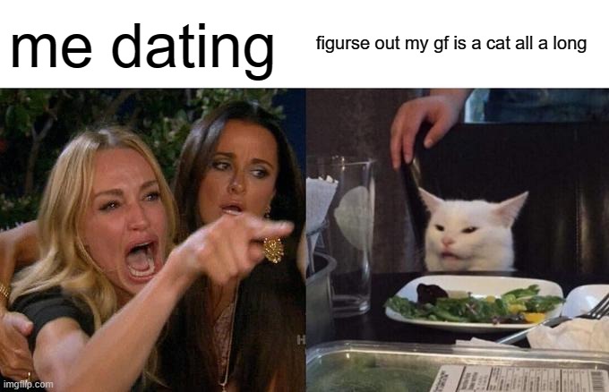 me dating | me dating; figurse out my gf is a cat all a long | image tagged in memes,woman yelling at cat | made w/ Imgflip meme maker