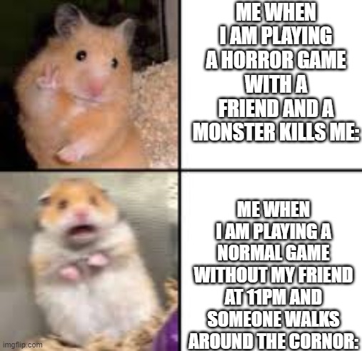 YEP | ME WHEN I AM PLAYING A HORROR GAME WITH A FRIEND AND A MONSTER KILLS ME:; ME WHEN I AM PLAYING A NORMAL GAME WITHOUT MY FRIEND AT 11PM AND SOMEONE WALKS AROUND THE CORNOR: | image tagged in scared hamster | made w/ Imgflip meme maker