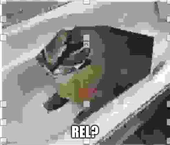 Very low quality floppa | REL? | image tagged in very low quality floppa | made w/ Imgflip meme maker