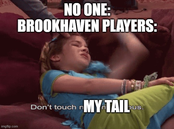 SERIOUSLY EVERYONE IN BROOKHAVEN HAS A TAIL IM NOT KIDDING | NO ONE:
BROOKHAVEN PLAYERS:; MY TAIL | image tagged in don't touch me i'm famous,roblox | made w/ Imgflip meme maker