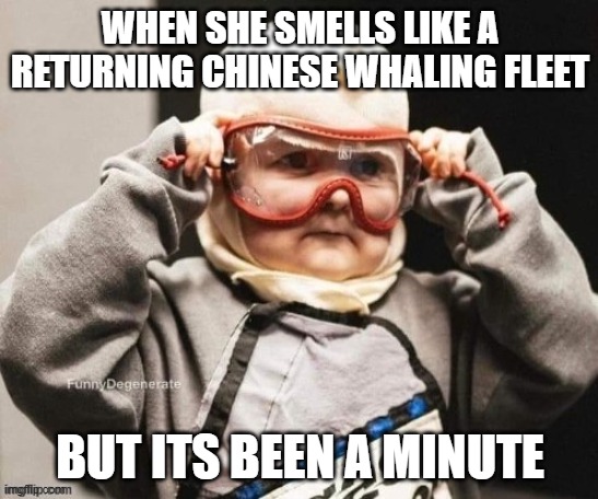 from wales | WHEN SHE SMELLS LIKE A RETURNING CHINESE WHALING FLEET; BUT ITS BEEN A MINUTE | image tagged in fish,gone fishing,fishy,starfish | made w/ Imgflip meme maker