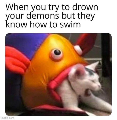 image tagged in memes,funny | made w/ Imgflip meme maker