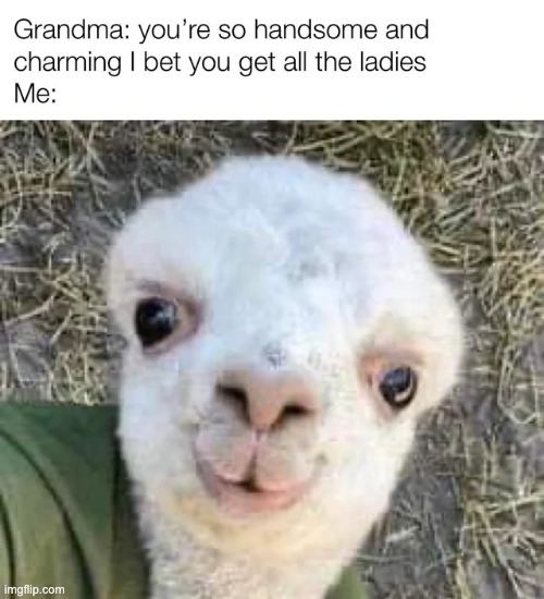 image tagged in memes,funny | made w/ Imgflip meme maker