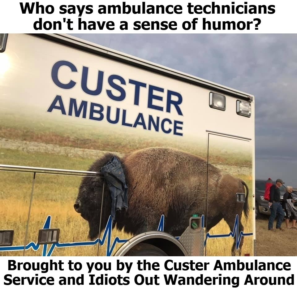 Who says ambulance technicians don't have a sense of humor? | image tagged in bison,custer state park,custer ambulance service,idiots out wandering around,iowa,funny | made w/ Imgflip meme maker