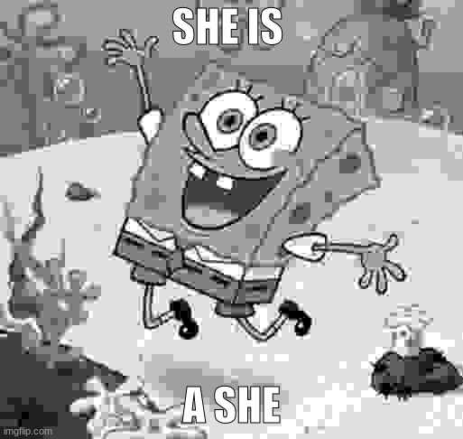 Happy jumping Spongebob | SHE IS; A SHE | image tagged in happy jumping spongebob | made w/ Imgflip meme maker