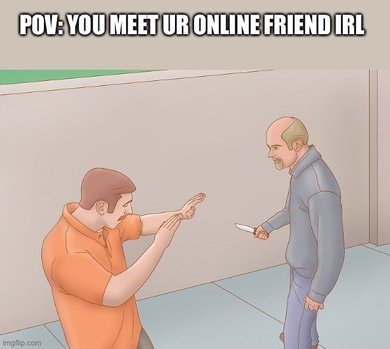 Wikihow defend against knife | POV: YOU MEET UR ONLINE FRIEND IRL | image tagged in wikihow defend against knife | made w/ Imgflip meme maker