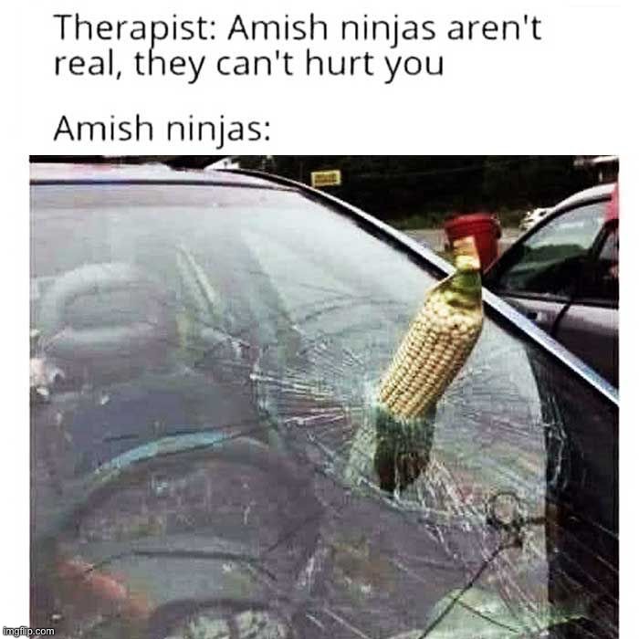image tagged in memes,funny | made w/ Imgflip meme maker