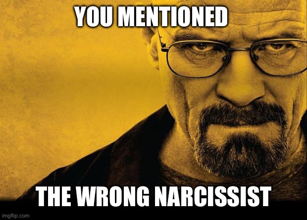 Breaking bad | YOU MENTIONED THE WRONG NARCISSIST | image tagged in breaking bad | made w/ Imgflip meme maker