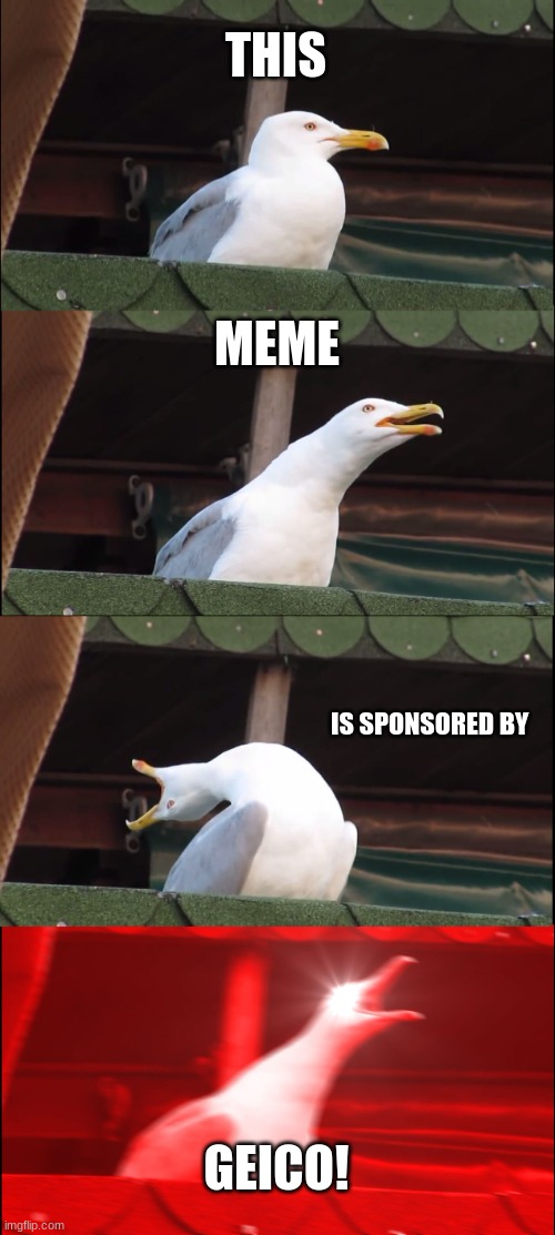 Inhaling Seagull Meme | THIS; MEME; IS SPONSORED BY; GEICO! | image tagged in memes,inhaling seagull | made w/ Imgflip meme maker