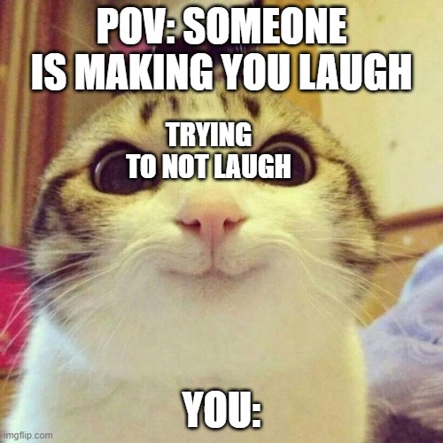 Smiling Cat | POV: SOMEONE IS MAKING YOU LAUGH; TRYING TO NOT LAUGH; YOU: | image tagged in memes,smiling cat | made w/ Imgflip meme maker