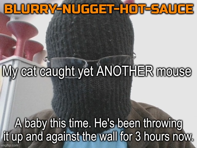 Blurry-nugget-hot-sauce | My cat caught yet ANOTHER mouse; A baby this time. He's been throwing it up and against the wall for 3 hours now. | image tagged in blurry-nugget-hot-sauce | made w/ Imgflip meme maker