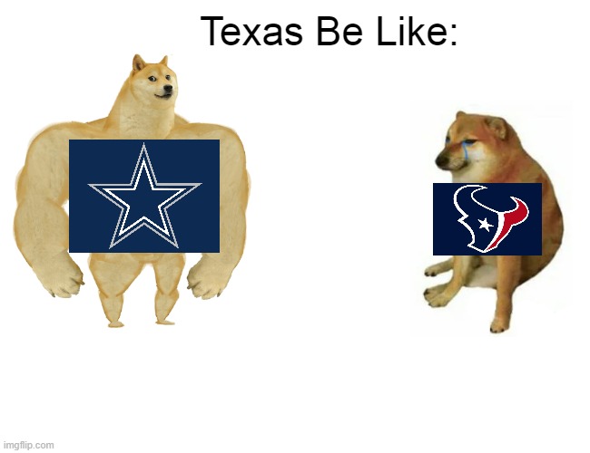 Buff Doge vs. Cheems | Texas Be Like: | image tagged in memes,buff doge vs cheems | made w/ Imgflip meme maker