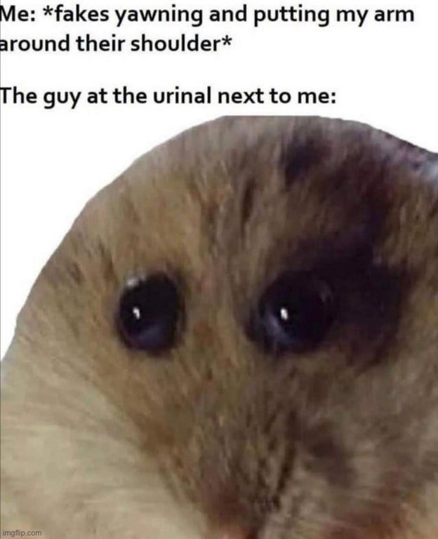 image tagged in memes | made w/ Imgflip meme maker