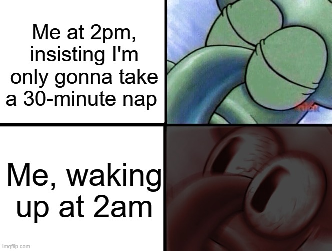 I never take naps | Me at 2pm, insisting I'm only gonna take a 30-minute nap; Me, waking up at 2am | image tagged in squidward sleeping,insomnia,sleep,waking up,nap time | made w/ Imgflip meme maker