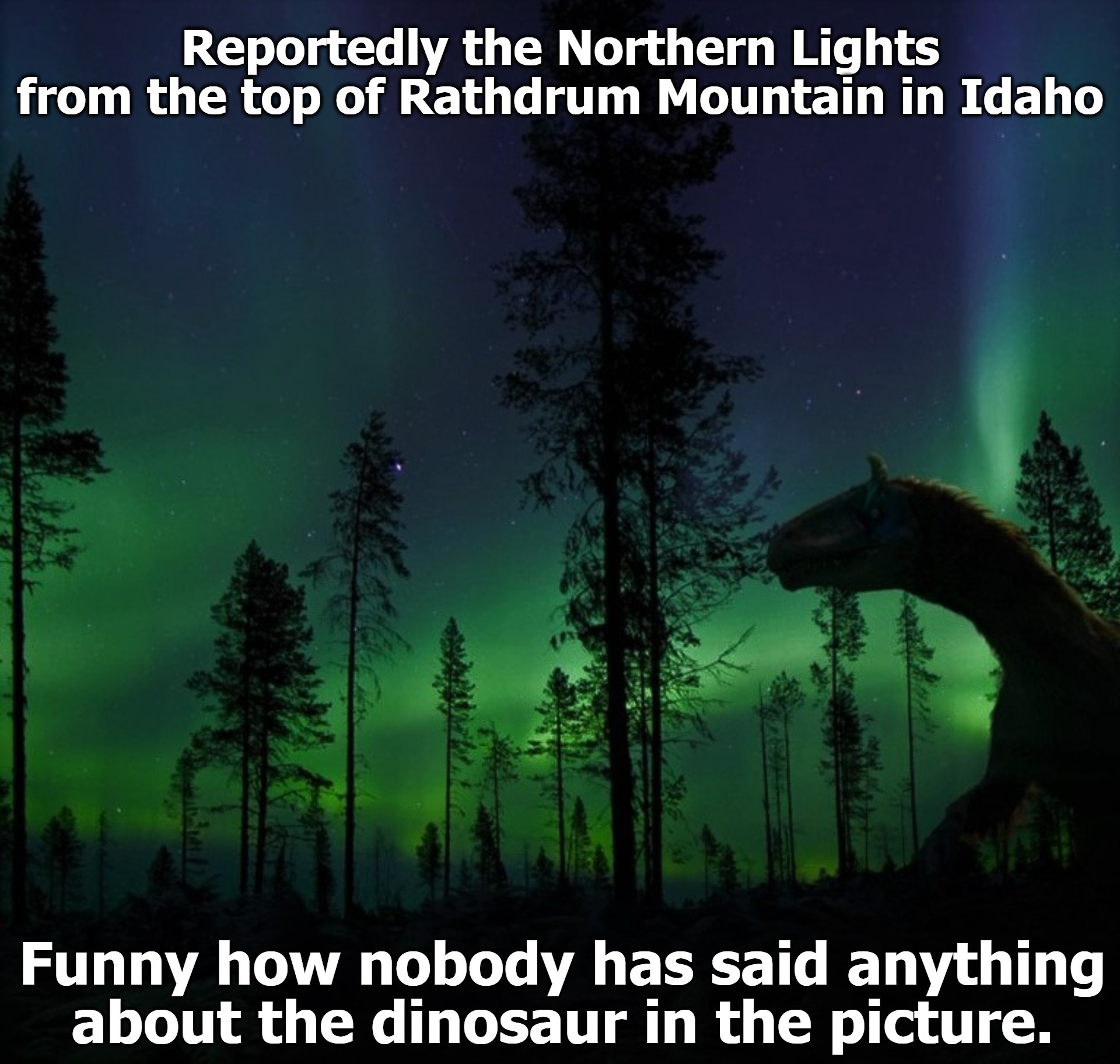 Has anybody reported a dinosaur missing from the Rathdrum Zoo? | image tagged in rathdrum idaho,rathdrum zoo,northern lights,idaho,north idaho,funny | made w/ Imgflip meme maker