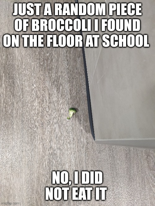 Random broccoli | JUST A RANDOM PIECE OF BROCCOLI I FOUND ON THE FLOOR AT SCHOOL; NO, I DID NOT EAT IT | image tagged in random,memes | made w/ Imgflip meme maker