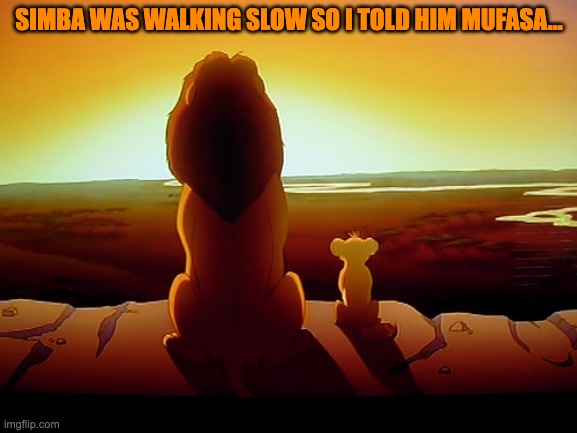 Lion King | SIMBA WAS WALKING SLOW SO I TOLD HIM MUFASA... | image tagged in memes,lion king,bad pun,funny | made w/ Imgflip meme maker