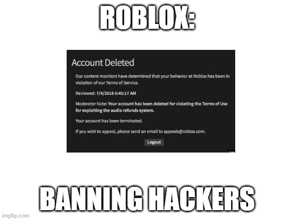 Hackers Getting Banned | ROBLOX:; BANNING HACKERS | image tagged in meme,roblox meme,banned from roblox,roblox | made w/ Imgflip meme maker