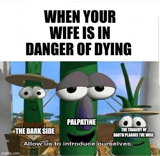 I can't believe Anakin actually thought palpatine could save padme | WHEN YOUR WIFE IS IN DANGER OF DYING; PALPATINE; THE TRAGEDY OF DARTH PLAGUIS THE WISE; THE DARK SIDE | image tagged in allow us to introduce ourselves | made w/ Imgflip meme maker