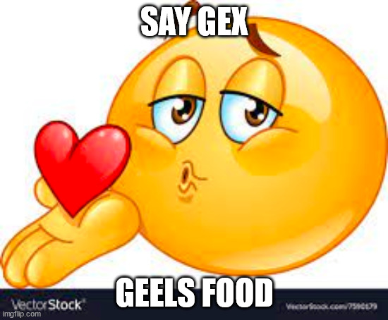 I love say gex | SAY GEX; GEELS FOOD | image tagged in say gex | made w/ Imgflip meme maker