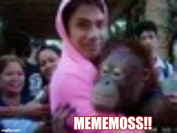 Yeme | MEMEMOSS!! | image tagged in yeme | made w/ Imgflip meme maker