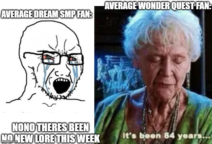 Dream smp cringe | AVERAGE DREAM SMP FAN:; AVERAGE WONDER QUEST FAN:; NONO THERES BEEN NO NEW LORE THIS WEEK | image tagged in minecraft,dream smp,stampy,youtube,it's been 84 years,dream | made w/ Imgflip meme maker