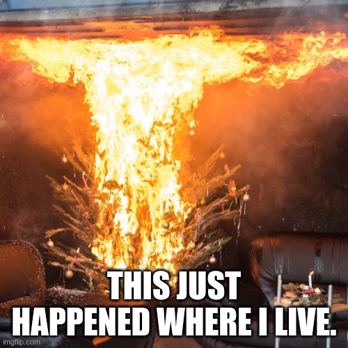 Burning christmas tree | THIS JUST HAPPENED WHERE I LIVE. | image tagged in burning christmas tree | made w/ Imgflip meme maker