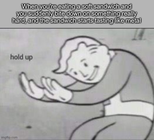 Fallout Hold Up | When you’re eating a soft sandwich and you suddenly bite down on something really hard, and the sandwich starts tasting like metal | image tagged in fallout hold up | made w/ Imgflip meme maker