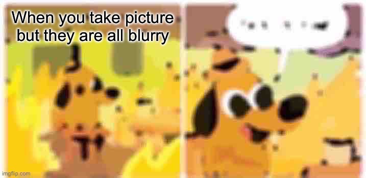 This Is Fine | When you take picture but they are all blurry | image tagged in memes,this is fine | made w/ Imgflip meme maker