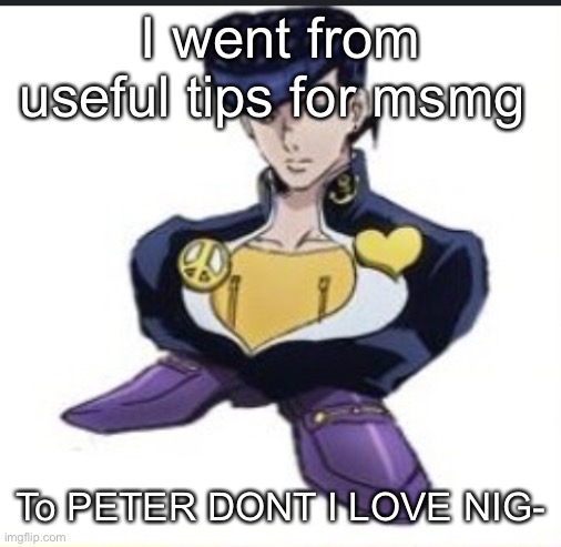 Shoeske | I went from useful tips for msmg; To PETER DONT I LOVE NIG- | image tagged in shoeske | made w/ Imgflip meme maker