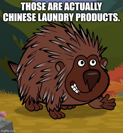 THOSE ARE ACTUALLY CHINESE LAUNDRY PRODUCTS. | made w/ Imgflip meme maker