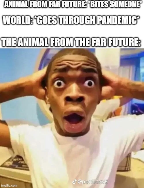 Truly shocking ;-; | ANIMAL FROM FAR FUTURE: *BITES SOMEONE*; WORLD: *GOES THROUGH PANDEMIC*; THE ANIMAL FROM THE FAR FUTURE: | image tagged in blank white template,shocked black guy | made w/ Imgflip meme maker