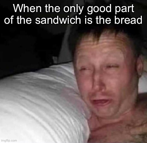 Sleepy guy | When the only good part of the sandwich is the bread | image tagged in sleepy guy | made w/ Imgflip meme maker