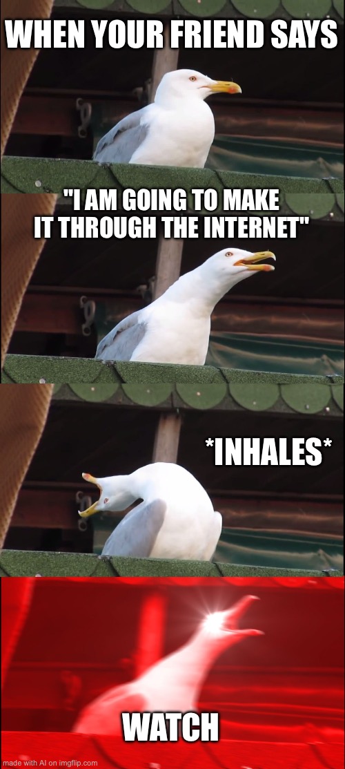 I am going to make it through the internet. W A T C H | WHEN YOUR FRIEND SAYS; "I AM GOING TO MAKE IT THROUGH THE INTERNET"; *INHALES*; WATCH | image tagged in memes,inhaling seagull,ai meme | made w/ Imgflip meme maker