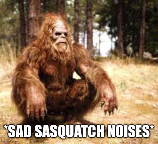 bigfoot | *SAD SASQUATCH NOISES* | image tagged in bigfoot | made w/ Imgflip meme maker