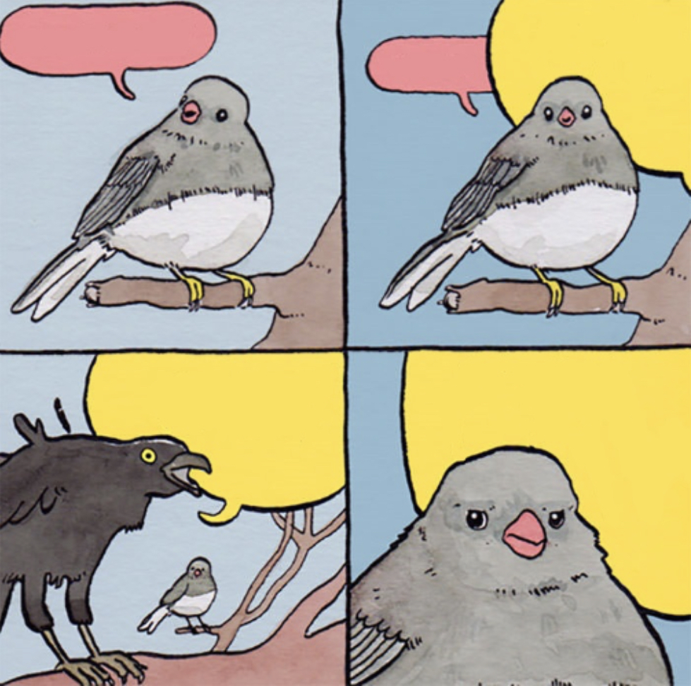 High Quality annoyed bird fixed Blank Meme Template