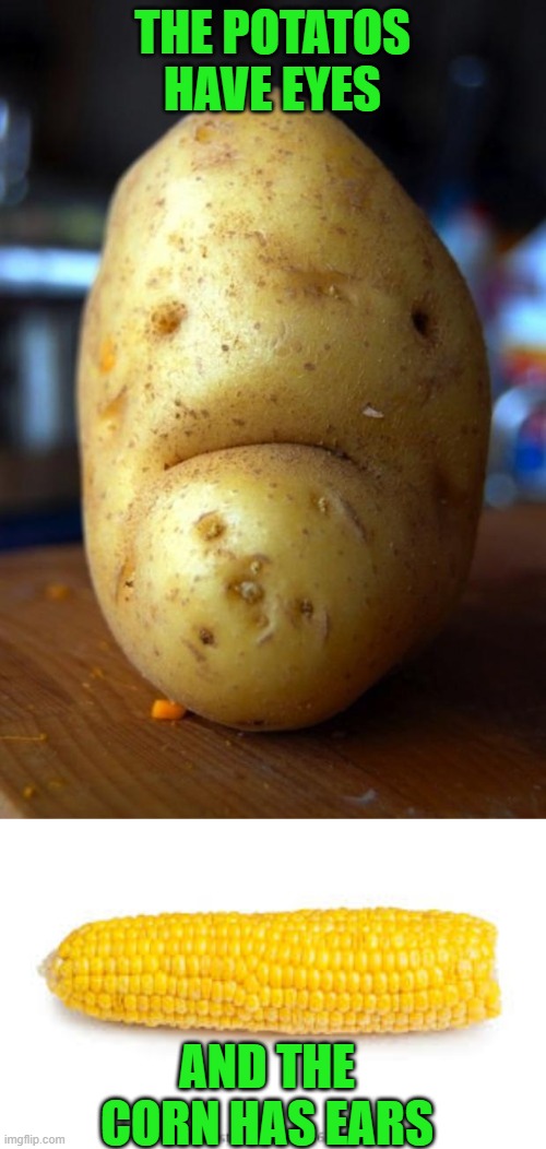 THE POTATOS HAVE EYES AND THE CORN HAS EARS | image tagged in sad potato,corn on the cob | made w/ Imgflip meme maker