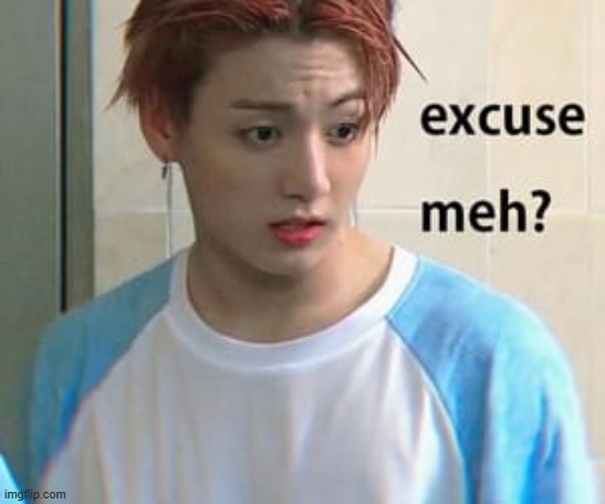 Excuse me? | image tagged in excuse me | made w/ Imgflip meme maker