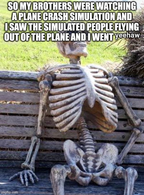 Waiting Skeleton Meme | SO MY BROTHERS WERE WATCHING A PLANE CRASH SIMULATION AND I SAW THE SIMULATED PEOPLE FLYING OUT OF THE PLANE AND I WENT ʸᵉᵉʰᵃʷ | image tagged in memes,waiting skeleton | made w/ Imgflip meme maker