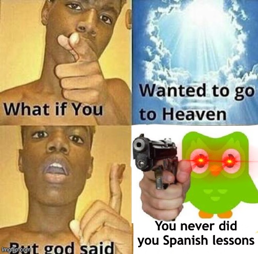 Duolingo bird | You never did you Spanish lessons | image tagged in what if you wanted to go to heaven | made w/ Imgflip meme maker