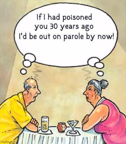 If only I had | image tagged in if only,had poisoned you,years ago,be on parole now,husband and wife | made w/ Imgflip meme maker