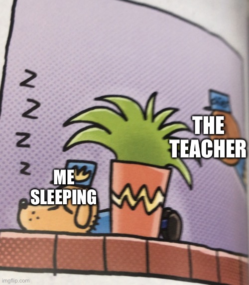 Teachers Always Do This! | THE TEACHER; ME SLEEPING | image tagged in person staring at dog headed cop | made w/ Imgflip meme maker